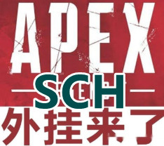 <font color='FF0000'>APEX-SCH辅助</font>